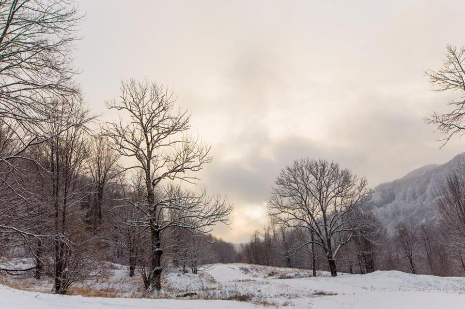 Ski Complex Velikiy Kalyny Esterno foto